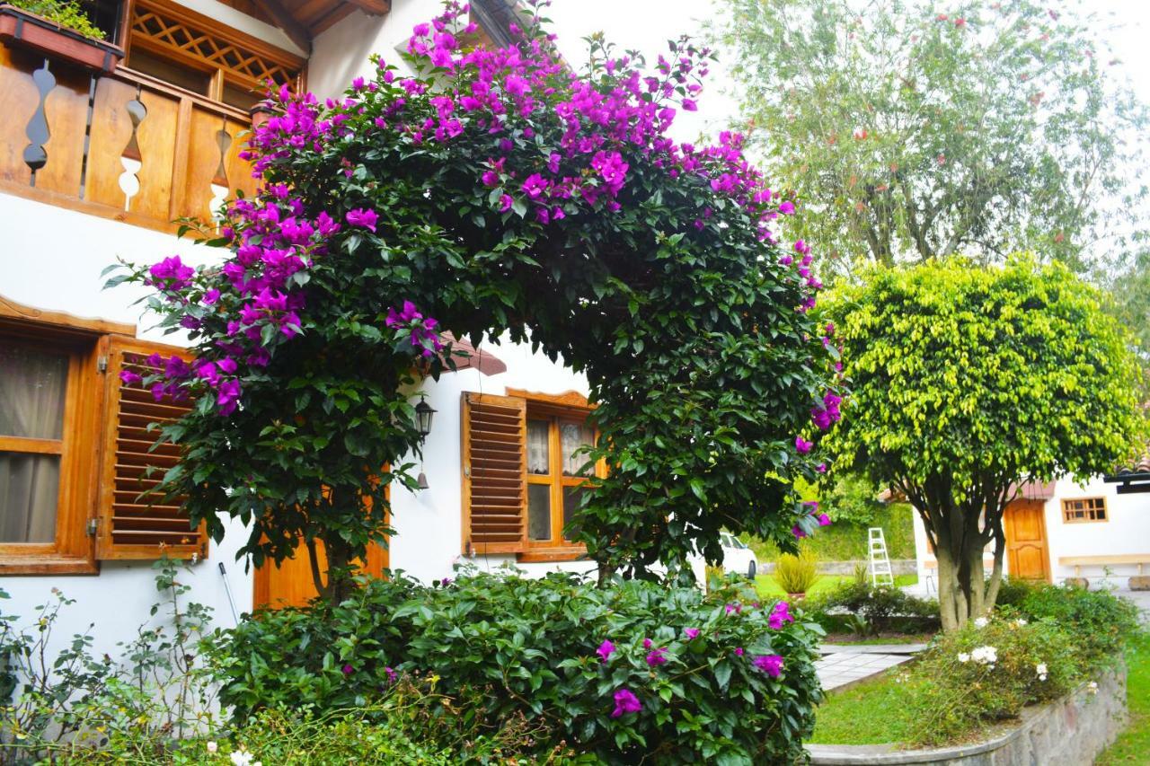 Quinta La Constanza 酒店 Tababela